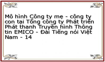 Mô hình Công ty mẹ - công ty con tại Tổng công ty Phát triển Phát thanh Truyền hình Thông tin EMICO - Đài Tiếng nói Việt Nam - 14