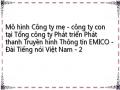 Mô hình Công ty mẹ - công ty con tại Tổng công ty Phát triển Phát thanh Truyền hình Thông tin EMICO - Đài Tiếng nói Việt Nam - 2