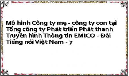 Khái Quát Sự Phát Triển Mô Hình Công Ty Mẹ - Công Ty Con Ở Nước Ta