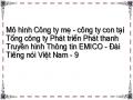 Mô hình Công ty mẹ - công ty con tại Tổng công ty Phát triển Phát thanh Truyền hình Thông tin EMICO - Đài Tiếng nói Việt Nam - 9