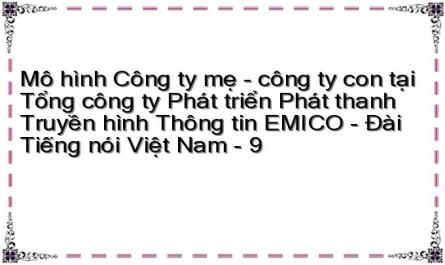 Mô hình Công ty mẹ - công ty con tại Tổng công ty Phát triển Phát thanh Truyền hình Thông tin EMICO - Đài Tiếng nói Việt Nam - 9