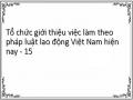 Đánh Giá Chung Về Tổ Chức Và Hoạt Động Của Tổ Chức Giới Thiệu Việc Làm Theo Pháp Luật Lao Động Việt Nam