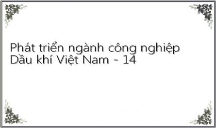 Phát triển ngành công nghiệp Dầu khí Việt Nam - 14