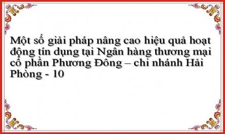 Một số giải pháp nâng cao hiệu quả hoạt động tín dụng tại Ngân hàng thương mại cổ phần Phương Đông – chi nhánh Hải Phòng - 10