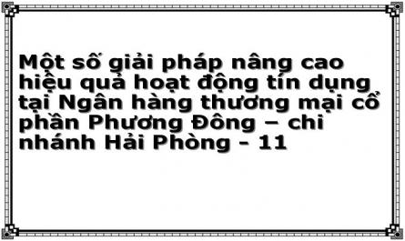 Một số giải pháp nâng cao hiệu quả hoạt động tín dụng tại Ngân hàng thương mại cổ phần Phương Đông – chi nhánh Hải Phòng - 11