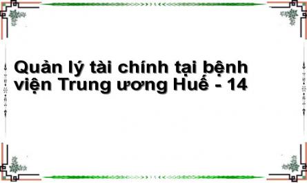 Quản lý tài chính tại bệnh viện Trung ương Huế - 14