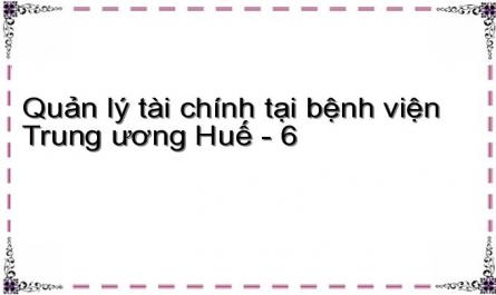 Quản lý tài chính tại bệnh viện Trung ương Huế - 6