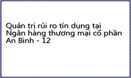 Quản trị rủi ro tín dụng tại Ngân hàng thương mại cổ phần An Bình - 12