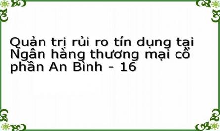 Quản trị rủi ro tín dụng tại Ngân hàng thương mại cổ phần An Bình - 16