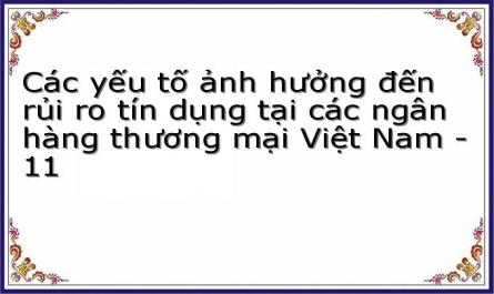 Các yếu tố ảnh hưởng đến rủi ro tín dụng tại các ngân hàng thương mại Việt Nam - 11