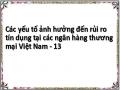 Các yếu tố ảnh hưởng đến rủi ro tín dụng tại các ngân hàng thương mại Việt Nam - 13