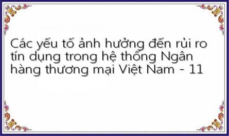 Các yếu tố ảnh hưởng đến rủi ro tín dụng trong hệ thống Ngân hàng thương mại Việt Nam - 11