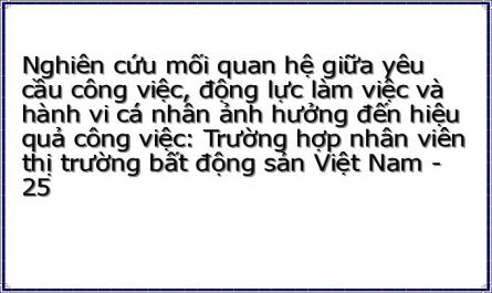 Nghiên cứu mối quan hệ giữa yêu cầu công việc, động lực làm việc và hành vi cá nhân ảnh hưởng đến hiệu quả công việc: Trường hợp nhân viên thị trường bất động sản Việt Nam - 25