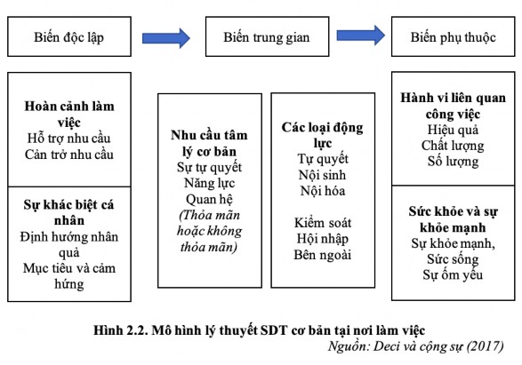 Mô hình lý thuyết của SDT trong mối quan hệ giữa động lực làm việc và các 2