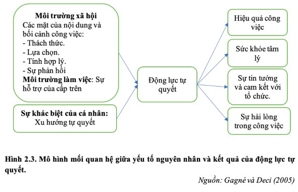 2 1 2 3 Mối quan hệ giữa lý thuyết SDT với các lý thuyết khác Việc phối hợp 3