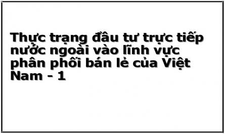 Thực trạng đầu tư trực tiếp nước ngoài vào lĩnh vực phân phối bán lẻ của Việt Nam