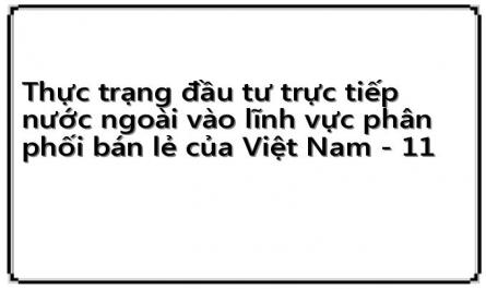 Thực trạng đầu tư trực tiếp nước ngoài vào lĩnh vực phân phối bán lẻ của Việt Nam - 11