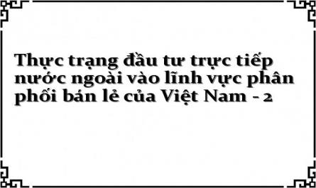 Thực trạng đầu tư trực tiếp nước ngoài vào lĩnh vực phân phối bán lẻ của Việt Nam - 2