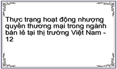 Thực trạng hoạt động nhượng quyền thương mại trong ngành bán lẻ tại thị trường Việt Nam - 12