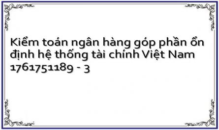 Định Hướng Kiểm Toán Ngân Hàng Của Kiểm Toán Nhà Nước Việt Nam