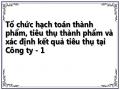 Tổ chức hạch toán thành phẩm, tiêu thụ thành phẩm và xác định kết quả tiêu thụ tại Công ty - 1