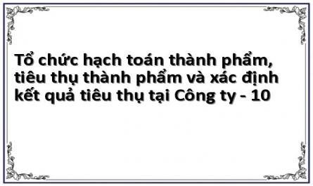 Tổ chức hạch toán thành phẩm, tiêu thụ thành phẩm và xác định kết quả tiêu thụ tại Công ty - 10