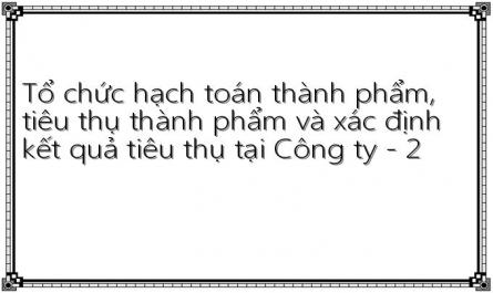Tổ chức hạch toán thành phẩm, tiêu thụ thành phẩm và xác định kết quả tiêu thụ tại Công ty - 2
