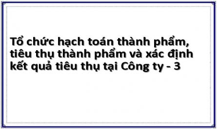 Tổ chức hạch toán thành phẩm, tiêu thụ thành phẩm và xác định kết quả tiêu thụ tại Công ty - 3
