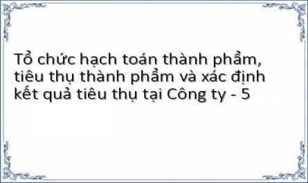 Tổ chức hạch toán thành phẩm, tiêu thụ thành phẩm và xác định kết quả tiêu thụ tại Công ty - 5
