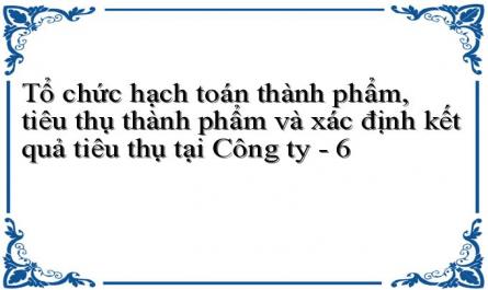 Tổ chức hạch toán thành phẩm, tiêu thụ thành phẩm và xác định kết quả tiêu thụ tại Công ty - 6