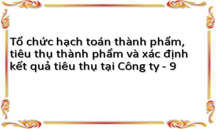 Tổ chức hạch toán thành phẩm, tiêu thụ thành phẩm và xác định kết quả tiêu thụ tại Công ty - 9