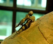 Như cá sấu gà cóc cũng được khắc trên mặt trống đồng Hoàng Hạ Hòa Bình 3