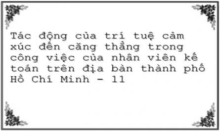 Tác động của trí tuệ cảm xúc đến căng thẳng trong công việc của nhân viên kế toán trên địa bàn thành phố Hồ Chí Minh - 11