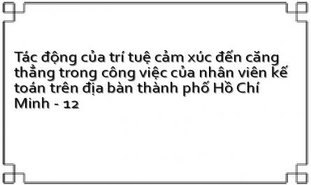 Tác động của trí tuệ cảm xúc đến căng thẳng trong công việc của nhân viên kế toán trên địa bàn thành phố Hồ Chí Minh - 12