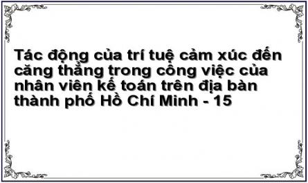 Tác động của trí tuệ cảm xúc đến căng thẳng trong công việc của nhân viên kế toán trên địa bàn thành phố Hồ Chí Minh - 15
