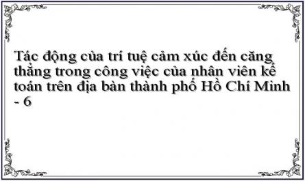 Tác động của trí tuệ cảm xúc đến căng thẳng trong công việc của nhân viên kế toán trên địa bàn thành phố Hồ Chí Minh - 6