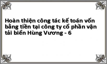 Hoàn thiện công tác kế toán vốn bằng tiền tại công ty cổ phần vận tải biển Hùng Vương - 6