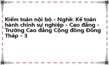 Kiểm toán nội bộ - Nghề: Kế toán hành chính sự nghiệp - Cao đẳng - Trường Cao đẳng Cộng đồng Đồng Tháp - 3