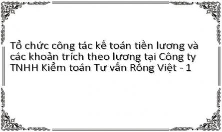 Tổ chức công tác kế toán tiền lương và các khoản trích theo lương tại Công ty TNHH Kiểm toán Tư vấn Rồng Việt - 1