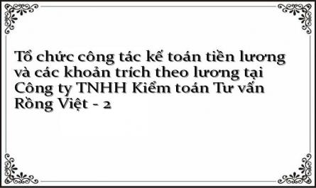 Tổ chức công tác kế toán tiền lương và các khoản trích theo lương tại Công ty TNHH Kiểm toán Tư vấn Rồng Việt - 2