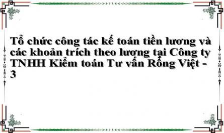 Tổ chức công tác kế toán tiền lương và các khoản trích theo lương tại Công ty TNHH Kiểm toán Tư vấn Rồng Việt - 3