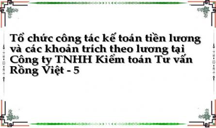 Tổ chức công tác kế toán tiền lương và các khoản trích theo lương tại Công ty TNHH Kiểm toán Tư vấn Rồng Việt - 5