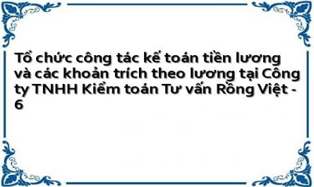 Tổ chức công tác kế toán tiền lương và các khoản trích theo lương tại Công ty TNHH Kiểm toán Tư vấn Rồng Việt - 6