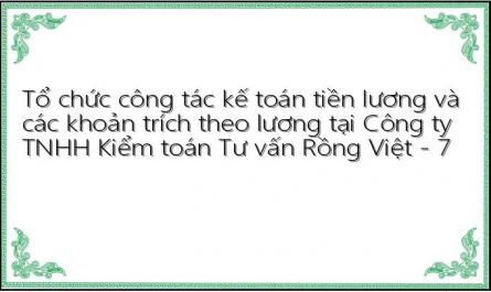 Tổ chức công tác kế toán tiền lương và các khoản trích theo lương tại Công ty TNHH Kiểm toán Tư vấn Rồng Việt - 7