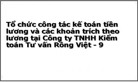 Tổ chức công tác kế toán tiền lương và các khoản trích theo lương tại Công ty TNHH Kiểm toán Tư vấn Rồng Việt - 9